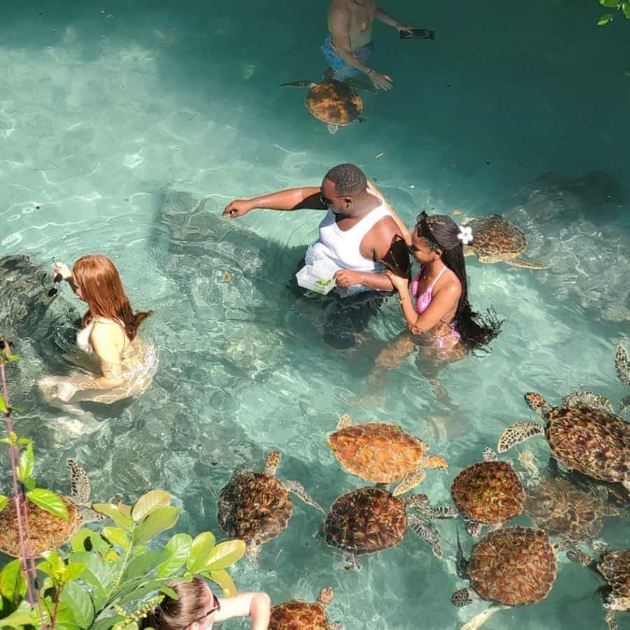 SALAAM CAVE: Swim with turtles & Dine at The Rock Restaurant - Two Zanzibar icons in one long day
