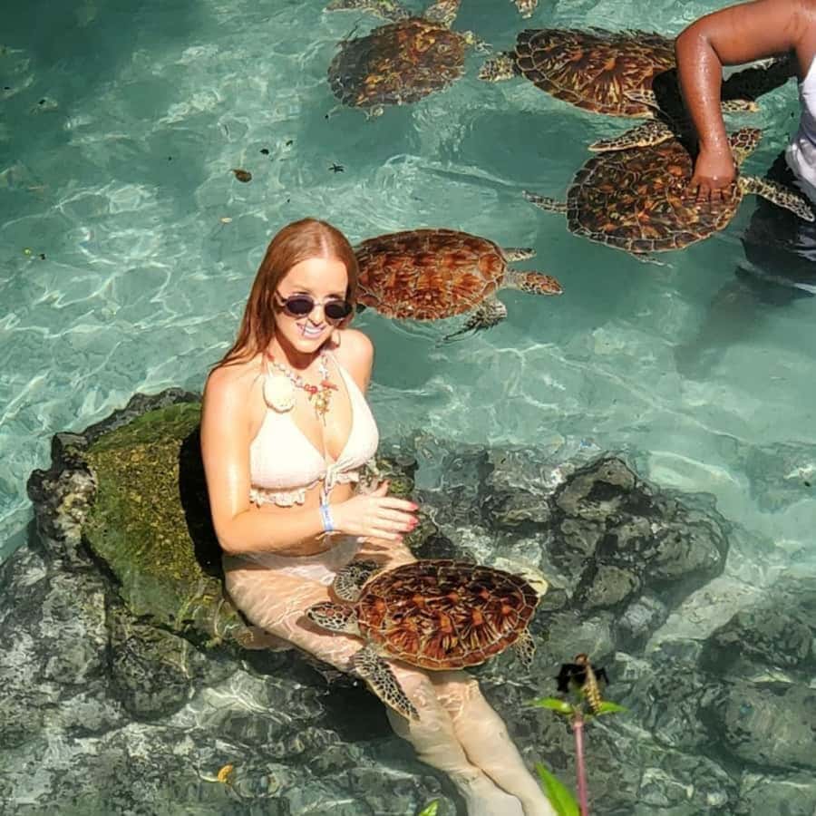 SALAAM CAVE: Swim with turtles & Dine at The Rock Restaurant - Reservations are not a minor detail