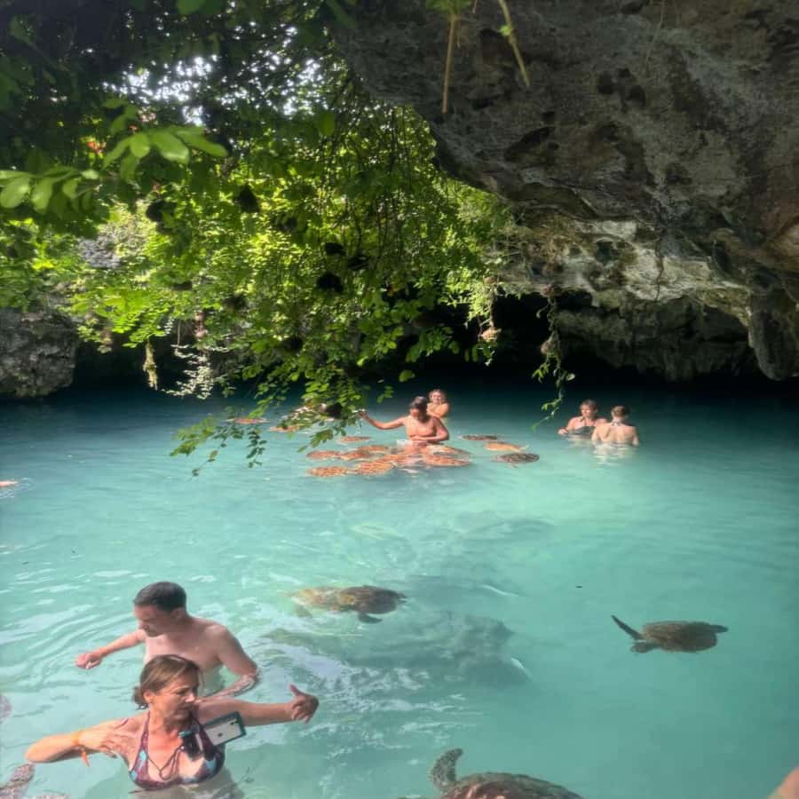 SALAAM CAVE: Swim with turtles & Dine at The Rock Restaurant - Why arriving at 9 a.m. can improve the visit