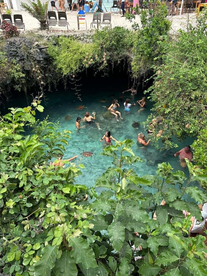 Salaam Cave Swimming & feeding Sea Turtles in Kizimkazi - How much value do you get for $81?