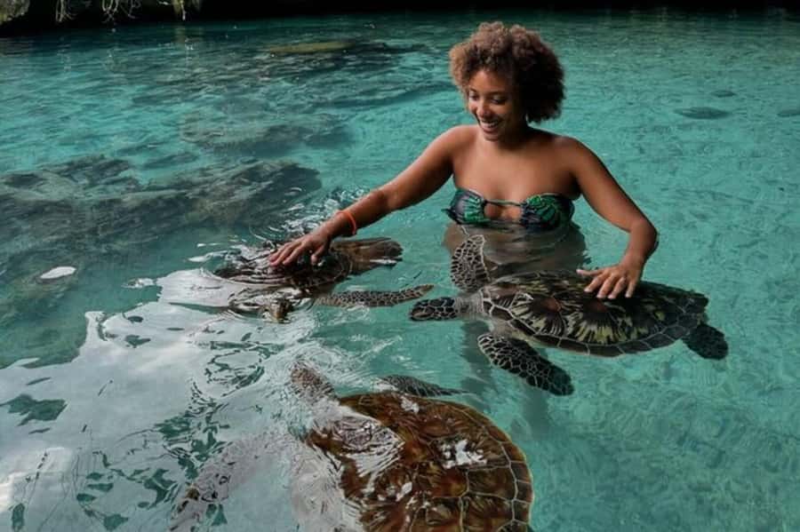 Salaam Cave Swimming & feeding Sea Turtles in Kizimkazi - Who will enjoy this experience most?