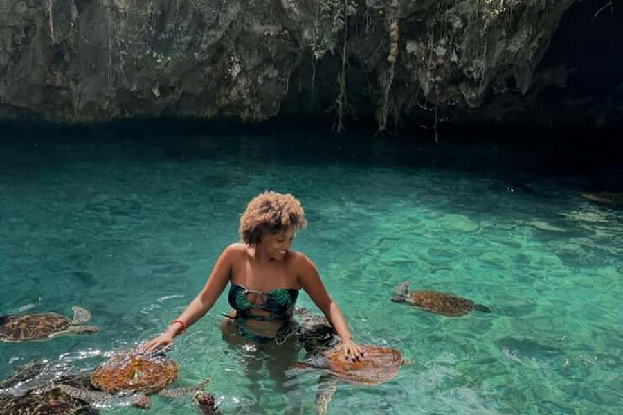 Salaam Cave Swimming & feeding Sea Turtles in Kizimkazi - Practical booking advice