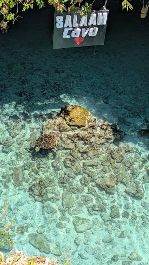 Salaam Cave Swimming with turtles, Mtende Beach & The Rock - The Rock Restaurant is a famous final stop