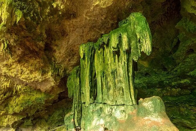 Salaam Cave Zanzibar (Turtles Santuary) - Is $100 a fair price?