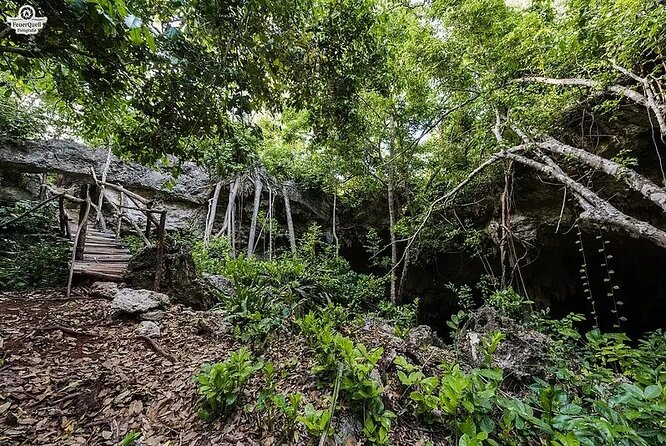 Salaam Cave Zanzibar (Turtles Santuary) - What to bring and what to confirm