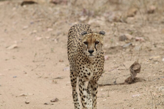 Savannah Escape & Active Culture Tour - Why this safari works in only four days