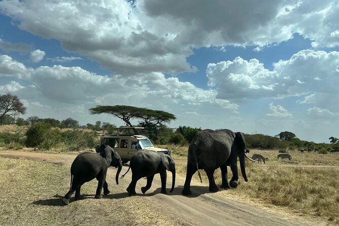 Serengeti 2-Day Safari from Mwanza - One night in a tented camp
