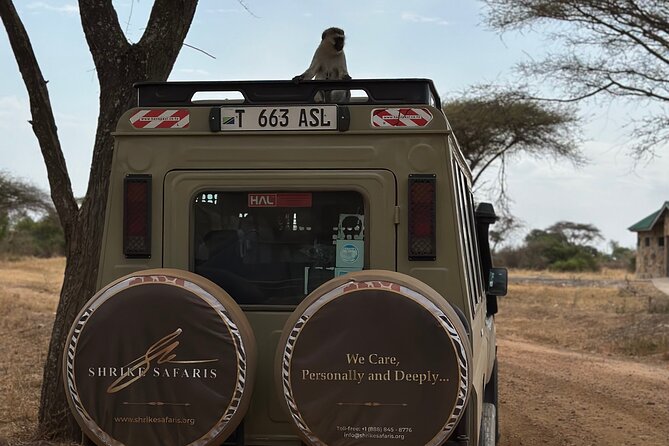 Serengeti 2-Day Safari from Mwanza - Who will enjoy this safari most