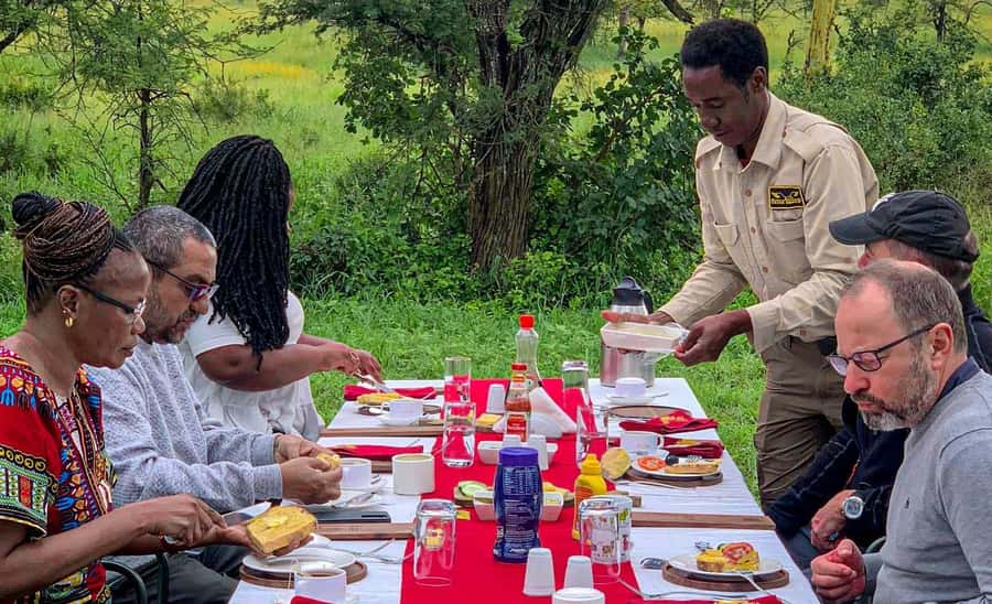 Serengeti Balloon Ride and Luxury Bush Breakfast - Key points to know before booking