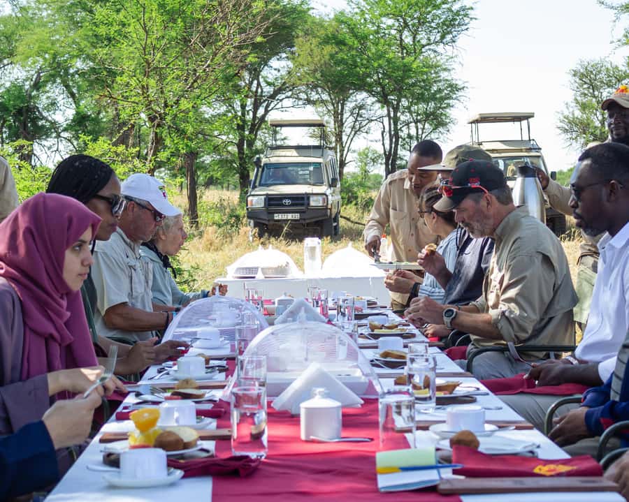 Serengeti Balloon Ride and Luxury Bush Breakfast - One hour above the Serengeti
