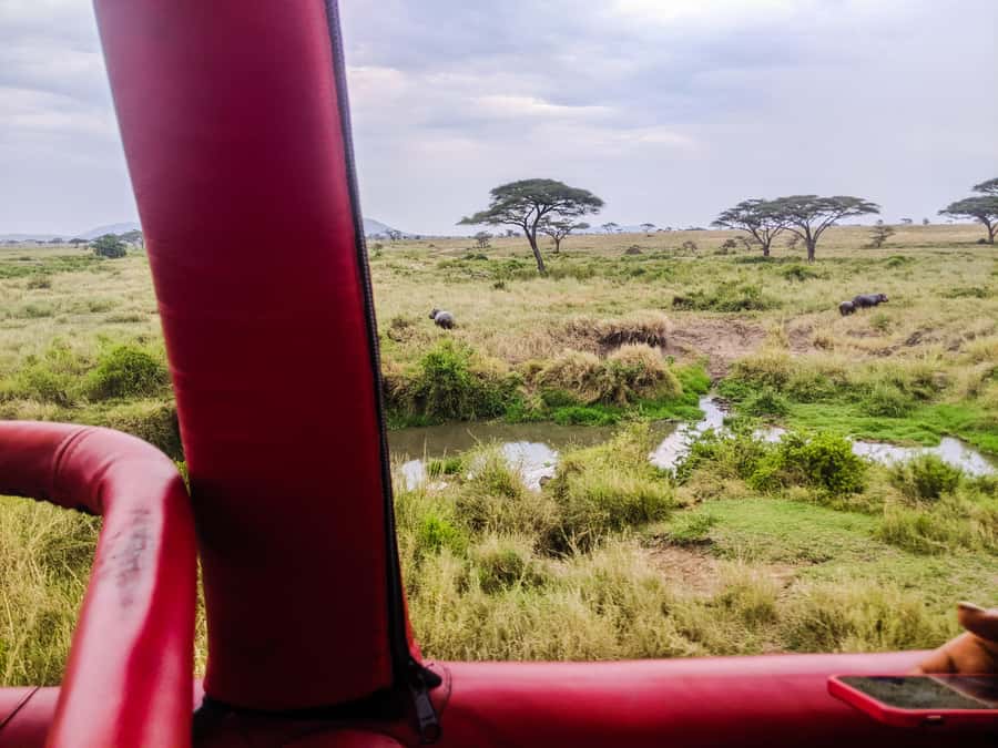 Serengeti Balloon Ride and Luxury Bush Breakfast - Who will enjoy this most?