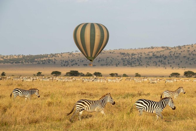 Serengeti Balloon Safari and authentic bush breakfast - Wildlife from above: wonderful, but not guaranteed