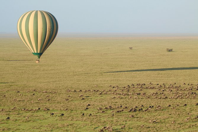Serengeti Balloon Safari and authentic bush breakfast - Choosing the right launch area and season