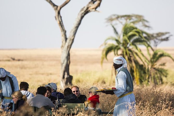 Serengeti Balloon Safari and authentic bush breakfast - Champagne, acacia shade, and a real breakfast