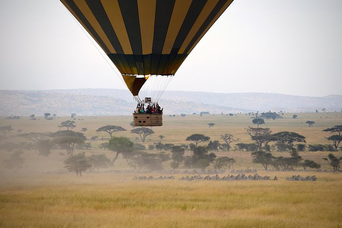 Serengeti Balloon Safari and authentic bush breakfast - Price, group size, and who gets the most from it