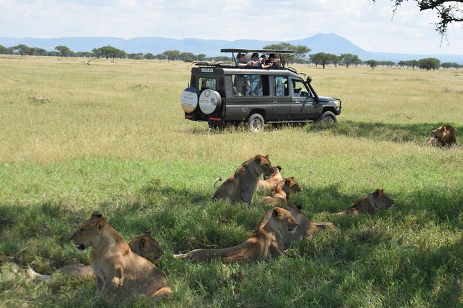 Serengeti Day Trip Safari From Mwanza Tanzania - Lunch, water, and what you need to bring