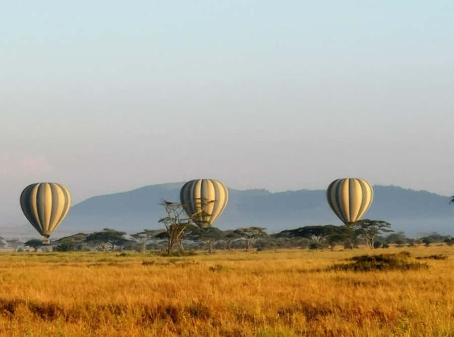 Serengeti: Hot Air Balloon Flight with Champagne Breakfast - The landing is part of the adventure