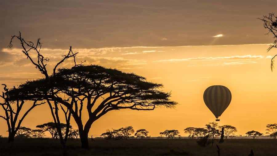 Serengeti National Park: Balloon Safari at Dawn - My verdict on the Serengeti balloon safari