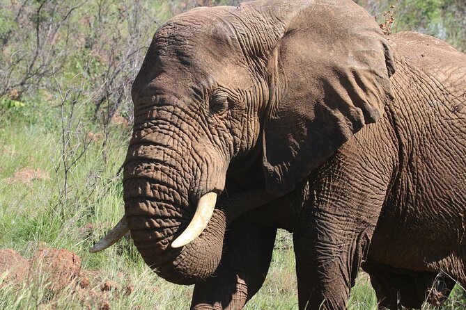 Serengeti & Ngorongoro 3 Days Budget Safari - What $850 buys you on this three-day route