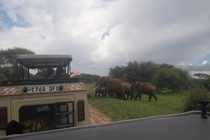 Serengeti & Ngorongoro 3 Days Budget Safari - Wildlife, scenery, and the cultural stop