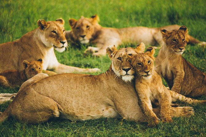 Serengeti & Ngorongoro 3 Days Budget Safari - Food, camping, and the pace of the days