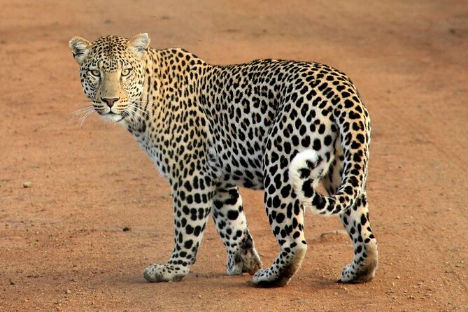 Serengeti & Ngorongoro 3 Days Budget Safari - Reaching Serengeti for the first wildlife search