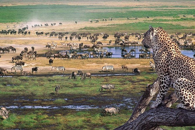 Serengeti & Ngorongoro 3 days Fly Safari in from Zanzibar - What the $2,200 price really covers