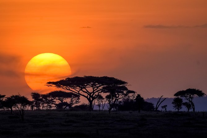 Serengeti & Ngorongoro 3 days Fly Safari in from Zanzibar - Accommodation, meals, and the daily pace