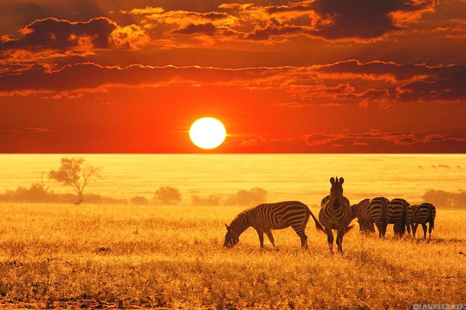 Serengeti & Ngorongoro 3 days Fly Safari in from Zanzibar - Guides and communication