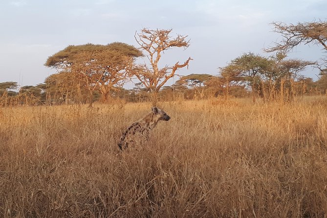 serengeti & ngorongoro 3 days private tour - Camping, meals, and what the price really covers