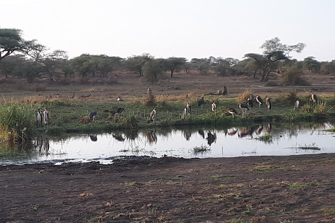 serengeti & ngorongoro 3 days private tour - The people who shape the trip