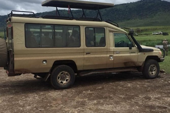 serengeti, ngorongoro & tarangire 4 days private tour - Tarangire brings the first big wildlife hit