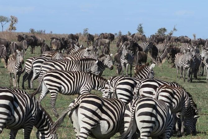 serengeti, ngorongoro & tarangire 5days private tour - Accommodation needs a closer look