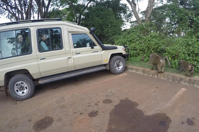 Serengeti Safari with Sirikwa Travel - Four parks in five days, with the Big Five in sight