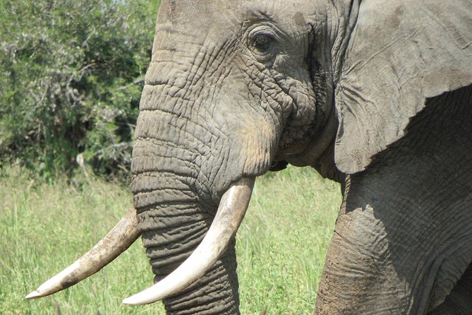 Serengeti Safari with Sirikwa Travel - Day 2: From Karatu highlands to the Seronera plains