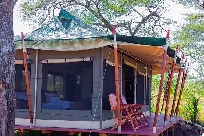 Serengeti Safari with Sirikwa Travel - Day 3: A full Serengeti day and optional balloon flight