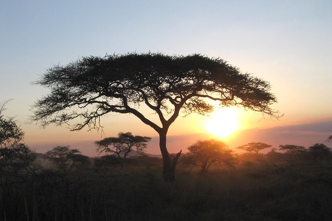 Serengeti Tour – 7Days/6 nights (4 stars accommodations) - What the $3,753 price covers