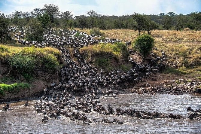 Serengeti Wildebeest Migration. - Day 2: Entering the endless Serengeti plains