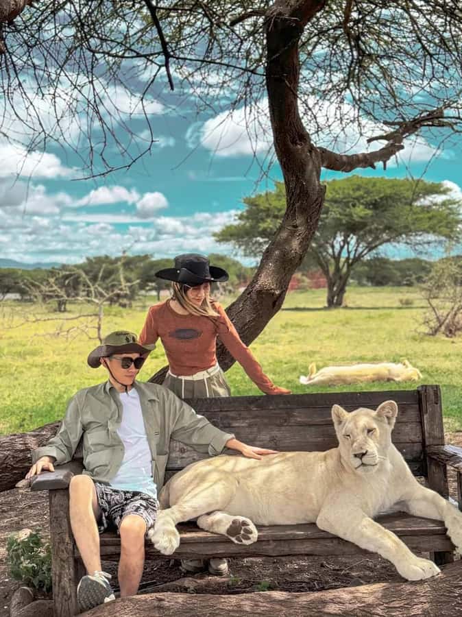 SERVAL WILDLIFE DAY - TOUR FROM ARUSHA, MOSHI OR ZANZIBAR. - Walking through the wildlife area