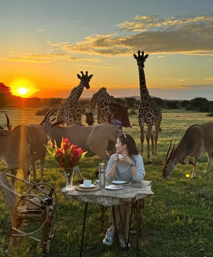 SERVAL WILDLIFE DAY - TOUR FROM ARUSHA, MOSHI OR ZANZIBAR. - The drive from Arusha to Kilimanjaro