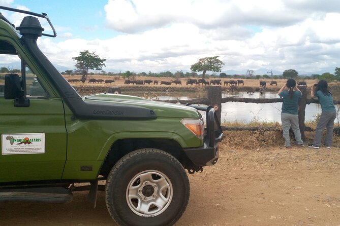 Short Safari from Dar es Salaam to Mikumi National Park - 2 Days - The early game drive on day two