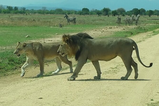 Short Safari from Dar es Salaam to Mikumi National Park - 2 Days - What the $745 price really covers