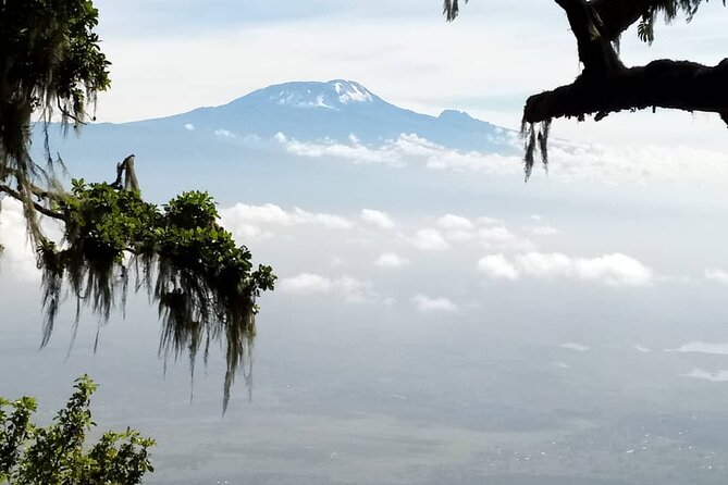 Small-group 7-day Lemosho Route Kilimanjaro Climb from Arusha - Day 1: Rainforest from 2,389 to 2,785 meters