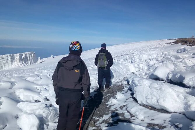 Small-group 7-day Lemosho Route Kilimanjaro Climb from Arusha - Day 4: The Barranco Wall to Karanga Camp