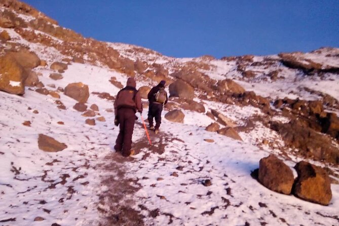 Small-group 7-day Lemosho Route Kilimanjaro Climb from Arusha - Day 5: The South Circuit and Barafu Camp
