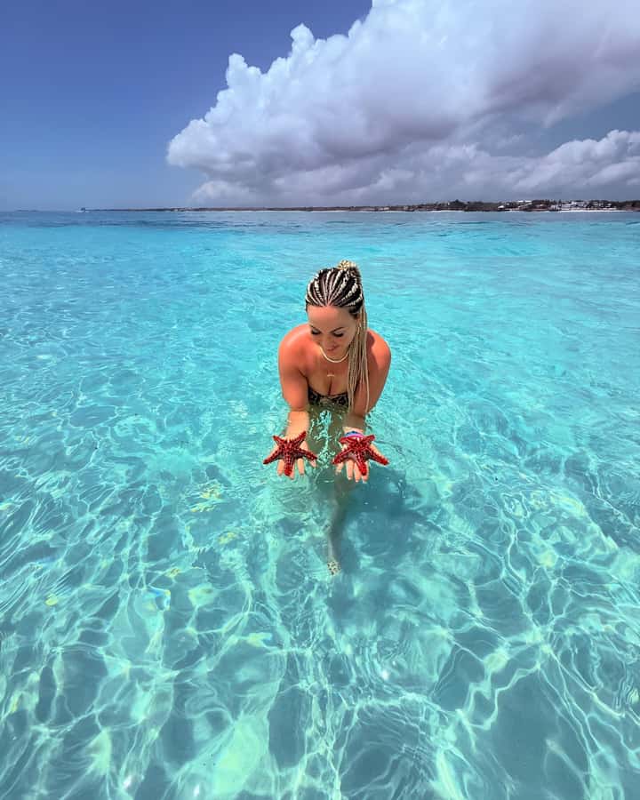 Snorkel Mnemba’s Reefs & Swim with Dolphins Adventure - Key points before you book