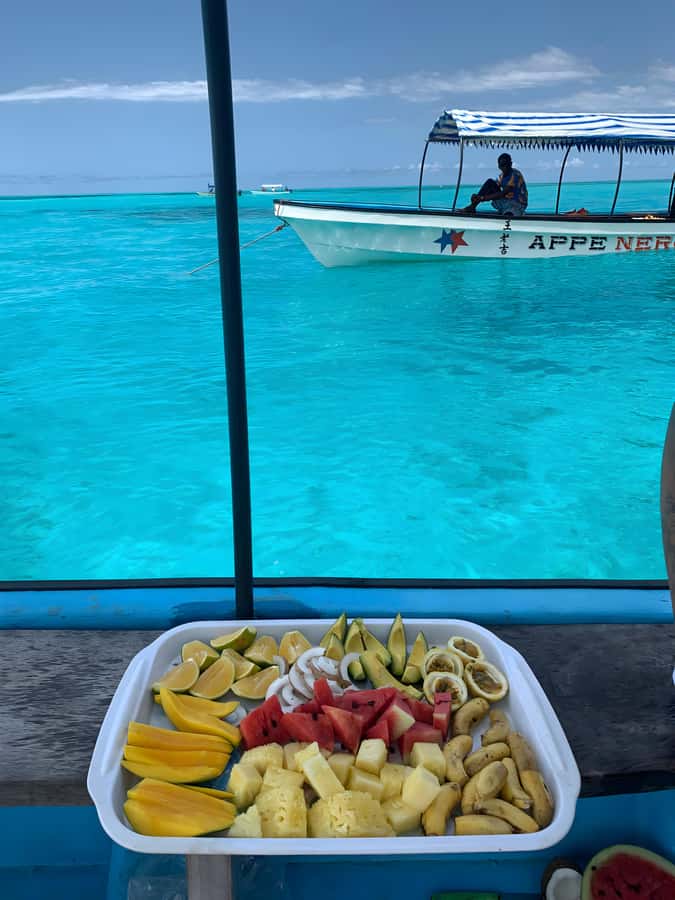 Snorkeling and swimming with dolphins in mnemba island - Who should book this Mnemba outing?