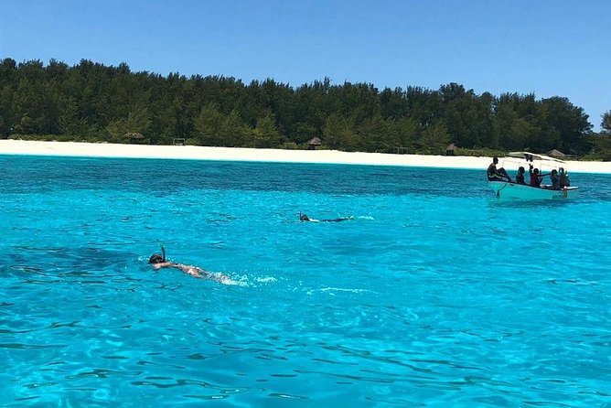 Snorkeling at Mnemba Atoll - What you can expect in the water