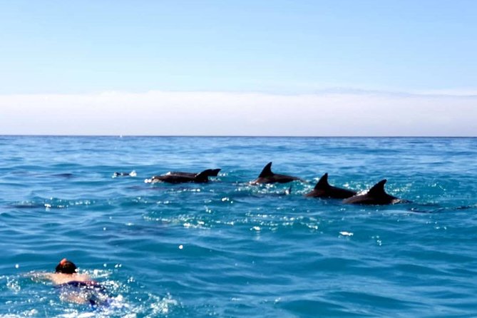 Snorkeling at Mnemba Atoll - The five-hour outing from hotel pickup to the reef