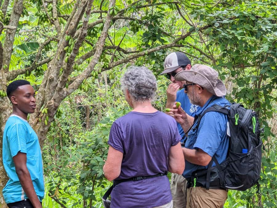 Spice Farm Bike Tour: Pedal Through Aromatic Adventures - A 28-kilometer ride through Zanzibar